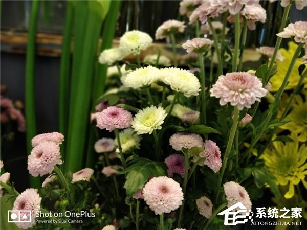 一加5T怎么样？国行版一加5T深度评测