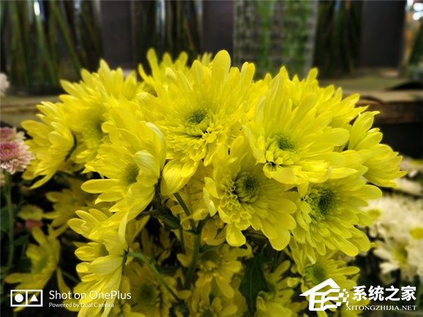 一加5T怎么样？国行版一加5T深度评测