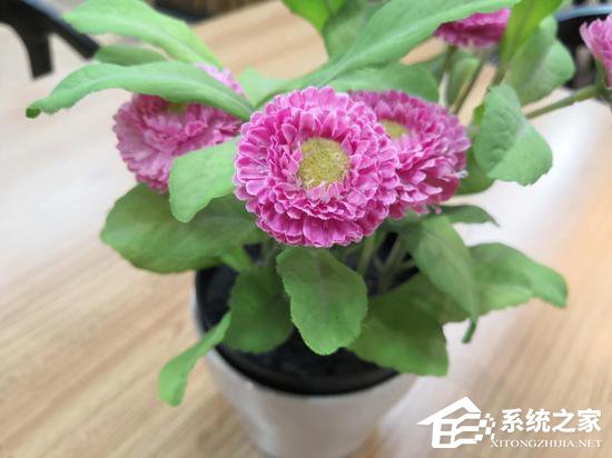 华为荣耀V10值得买吗?荣耀V10真机深度体验评测