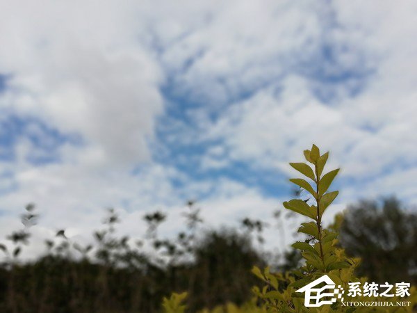 华为荣耀9青春版怎么样？荣耀9青春版上手评测