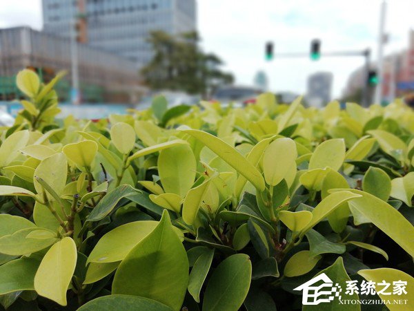 华为荣耀9青春版怎么样？荣耀9青春版上手评测