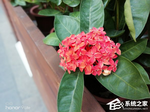 华为荣耀9青春版值不值得买？荣耀9青春版深度评测