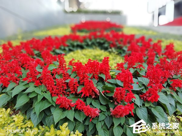 华为荣耀9青春版值不值得买？荣耀9青春版深度评测