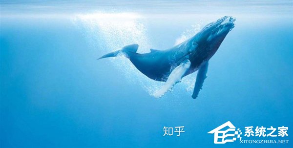 联通将推出“知乎知卡”:知乎+腾讯系全免流