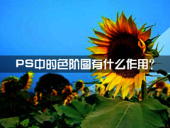 色阶是什么？PS中的色阶图有什么作用？
