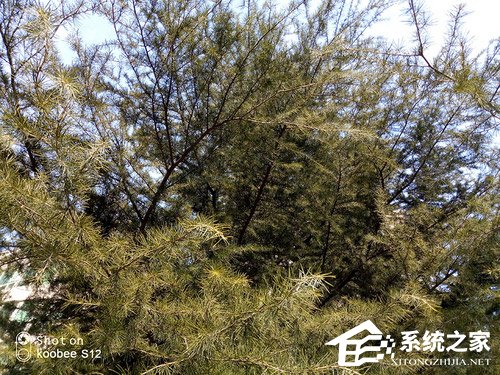 酷比S12好不好？酷比Koobee S12上手评测