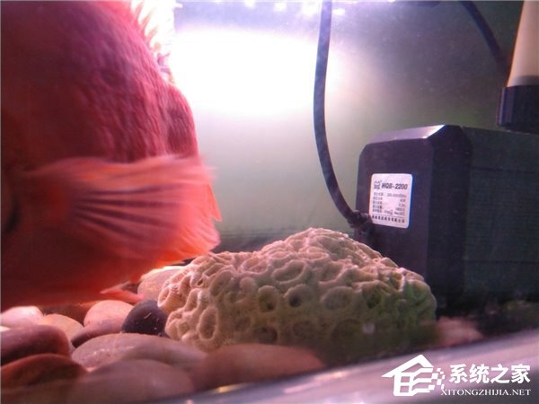 全新诺基亚6怎么样？全新诺基亚6上手评测