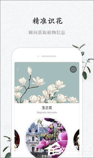 识花软件哪个好？2018识花APP推荐