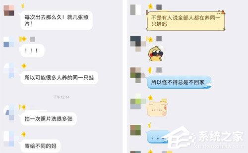 蛙丈夫or蛙儿子？《旅行青蛙》设计师：养青蛙更像是在养丈夫