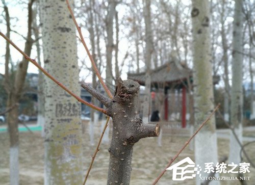 诺基亚7 Plus好不好？诺基亚7 Plus上手评测