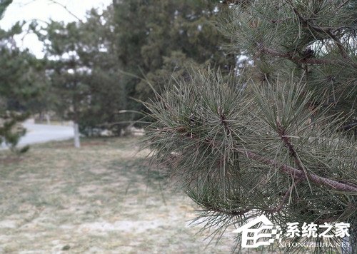诺基亚7 Plus好不好？诺基亚7 Plus上手评测