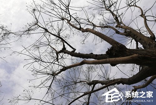 华为nova 3e值不值得买？HUAWEI nova 3e深度体验评测