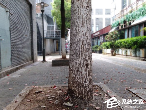 华为荣耀畅玩7A怎么样?荣耀畅玩7A真机上手评测
