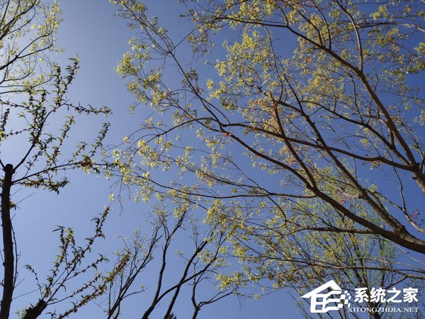 黑鲨游戏手机怎么样好用吗？小米黑鲨游戏手机体验评测