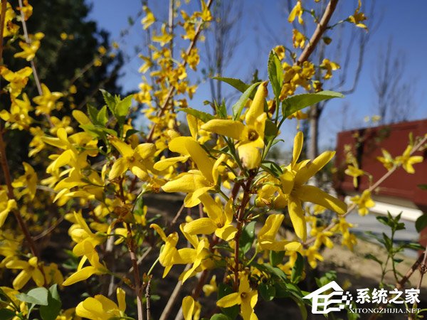 黑鲨游戏手机怎么样好用吗？小米黑鲨游戏手机体验评测