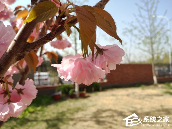 黑鲨游戏手机怎么样好用吗？小米黑鲨游戏手机体验评测