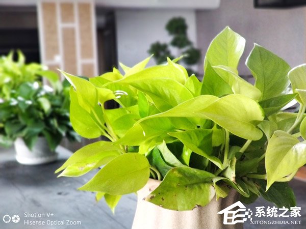 海信V+好不好？海信V+上手评测