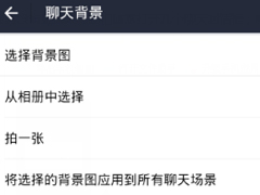 支付宝如何设置聊天背景 支付宝聊天背景设置方法