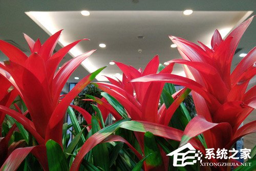 红魔游戏手机好不好？红魔游戏手机全面评测