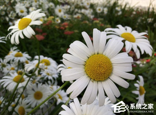 荣耀畅玩7好不好？华为荣耀畅玩7体验评测