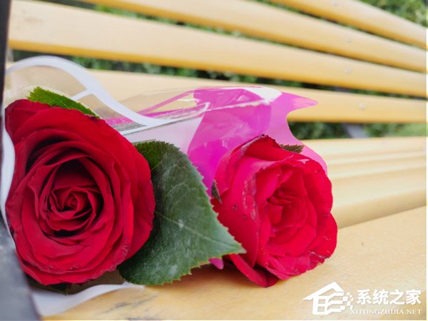 坚果R1拍照好用吗？坚果R1拍照性能实测
