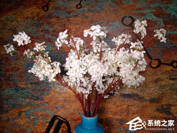 坚果R1拍照好用吗？坚果R1拍照性能实测