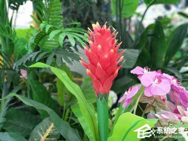 HTC U12+好不好？HTC U12+手机评测