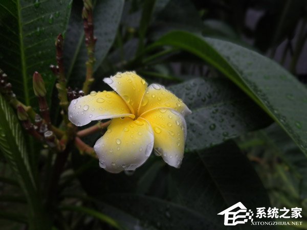 荣耀Play怎么样？荣耀Play手机体验评测