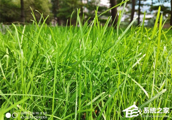 小米8 SE好不好?小米8 SE手机体验评测