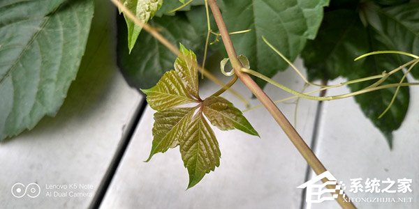 联想K5 Note怎么样？联想K5 Note手机体验评测