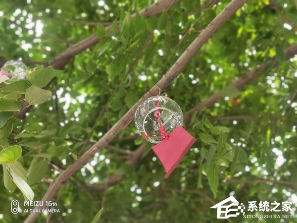 买魅族16th还是小米8?小米8和魅族16th对比评测