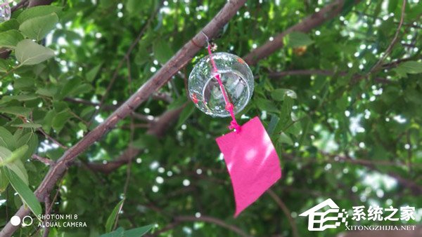 买魅族16th还是小米8?小米8和魅族16th对比评测