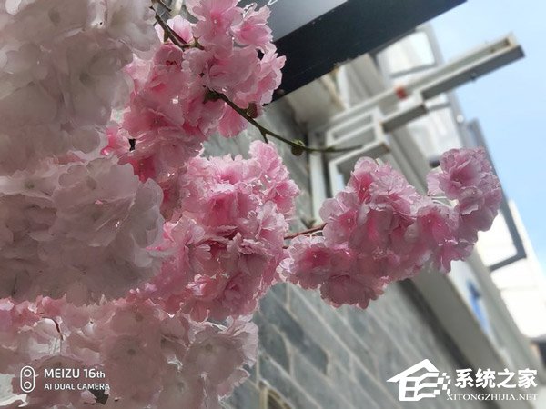 买魅族16th还是小米8?小米8和魅族16th对比评测