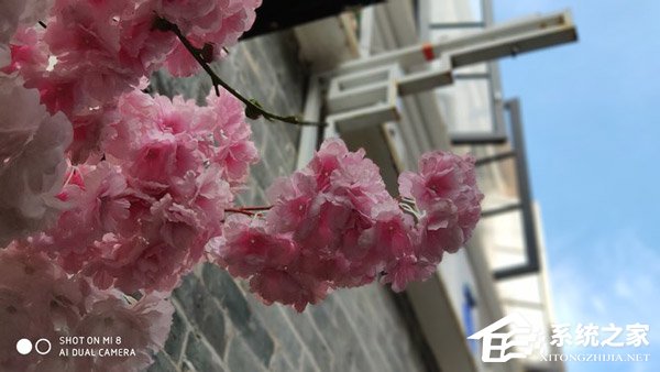 买魅族16th还是小米8?小米8和魅族16th对比评测