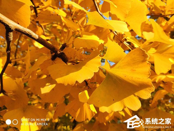 小米MIX 3怎么样？小米MIX 3手机全面评测