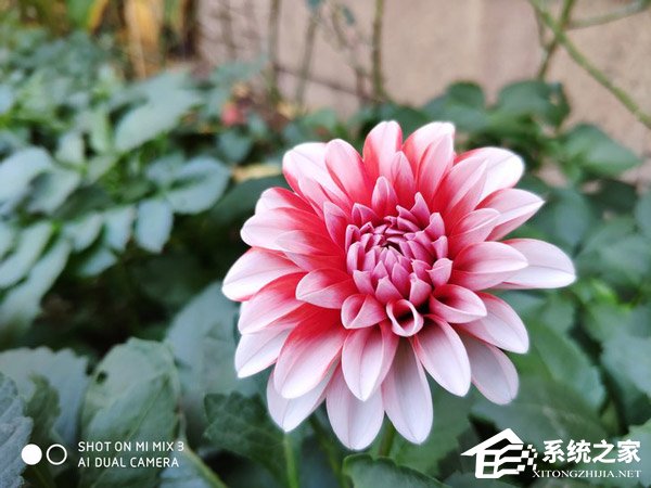 小米MIX 3怎么样？小米MIX 3手机全面评测