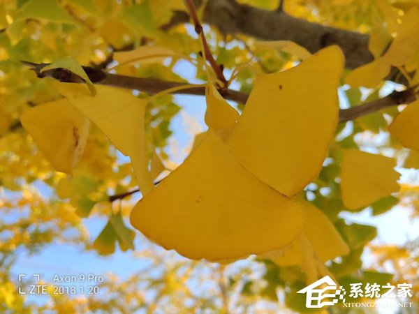 中兴天机Axon9 Pro怎么样?中兴天机Axon9 Pro全面评测