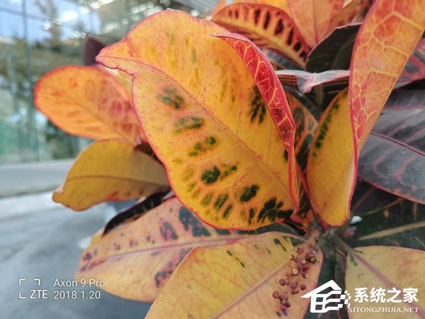 中兴天机Axon9 Pro怎么样?中兴天机Axon9 Pro全面评测