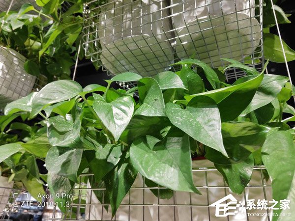 中兴天机Axon9 Pro怎么样?中兴天机Axon9 Pro全面评测