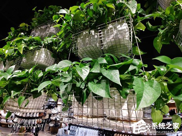 中兴天机Axon9 Pro怎么样?中兴天机Axon9 Pro全面评测