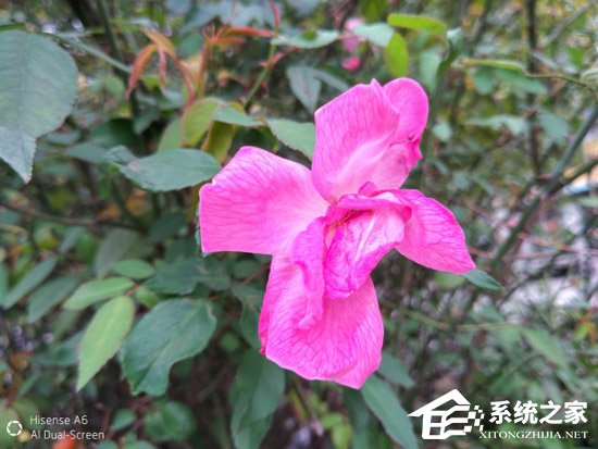 海信A6好用吗？海信双屏手机A6深度体验评测