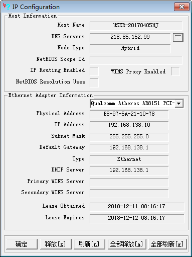 IP Configuration(IP地址查看器) V1.0 绿色免费版