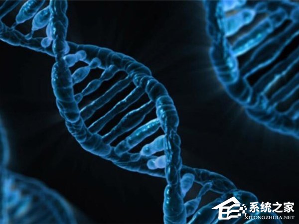 教育部要求各大高校自查基因编辑研究并形成自查报告