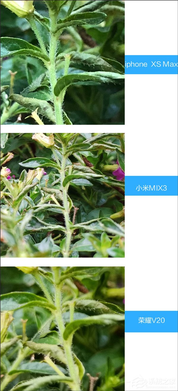 荣耀V20拍照好用吗？荣耀V20、小米MIX 3和iPhone Xs Max拍照性能对比评测
