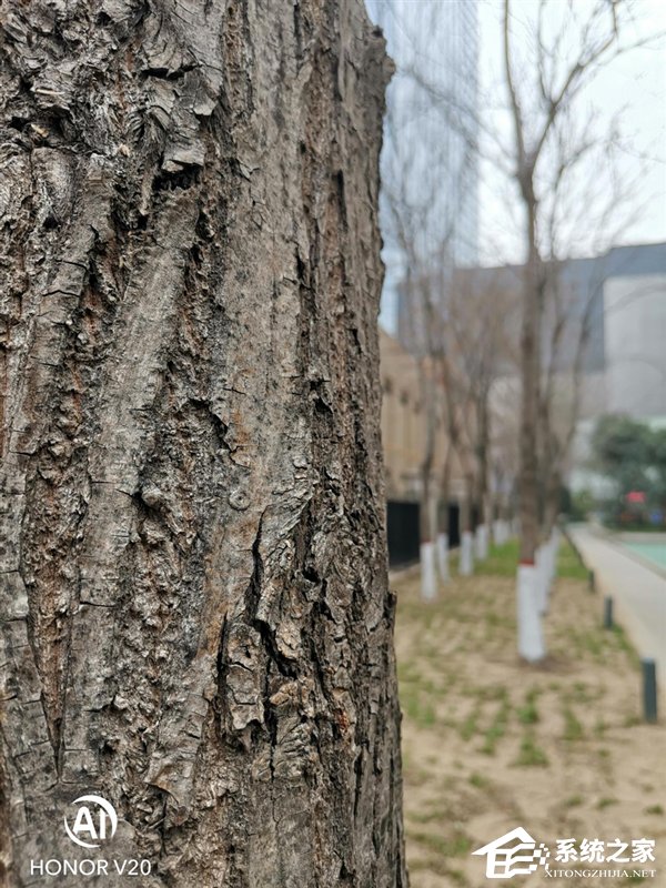 华为荣耀V20怎么样？荣耀V20手机深度全面评测