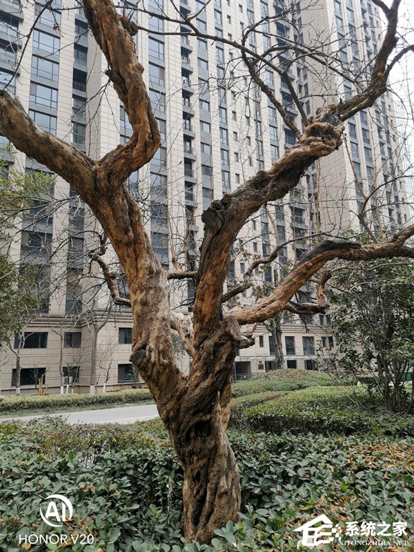 华为荣耀V20怎么样？荣耀V20手机深度全面评测