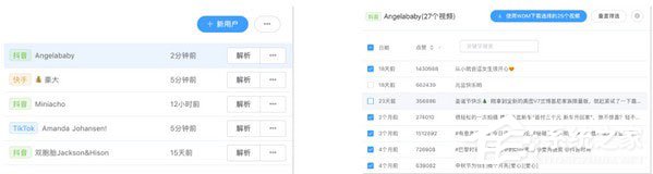 妙手解析大师 V1.1 绿色版