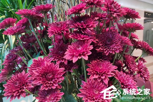 魅族Note 9怎么样？魅族Note 9体验评测
