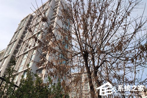 魅族Note 9怎么样？魅族Note 9体验评测