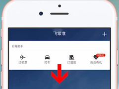 飞常准App怎么查询国际航班？飞常准App查询国际航班的方法